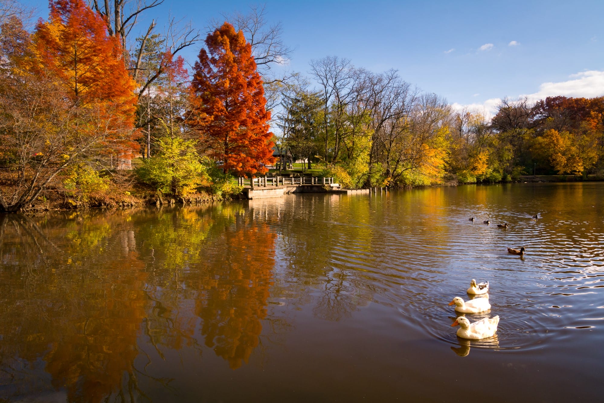 park in indiana